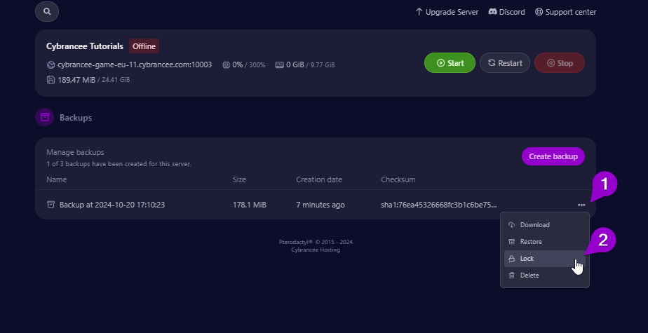 Cybrancee backups screen, with lock option outlined