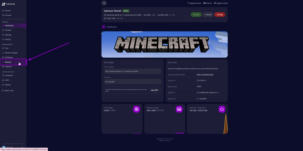 Cybrancee panel Minecraft dashboard with backups tab outlined