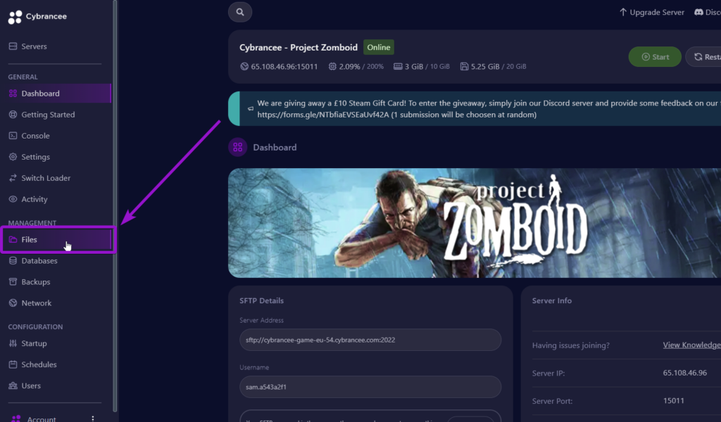 Cybrancee panel Project Zomboid dashboard, with files tab outlined
