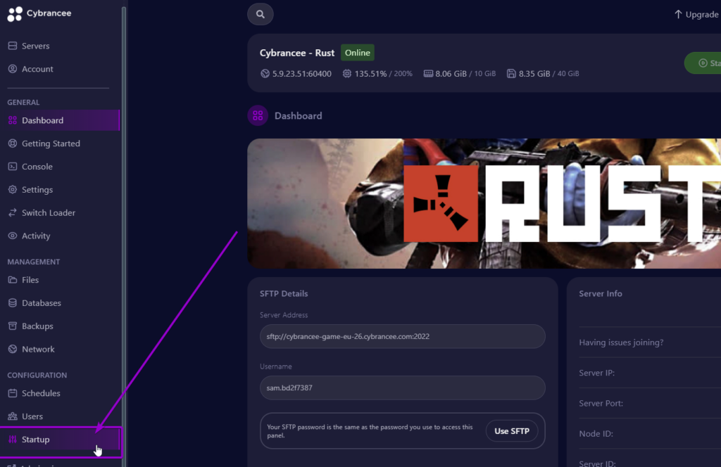 Cybrancee panel Rust dashboard, with startup tab outlined