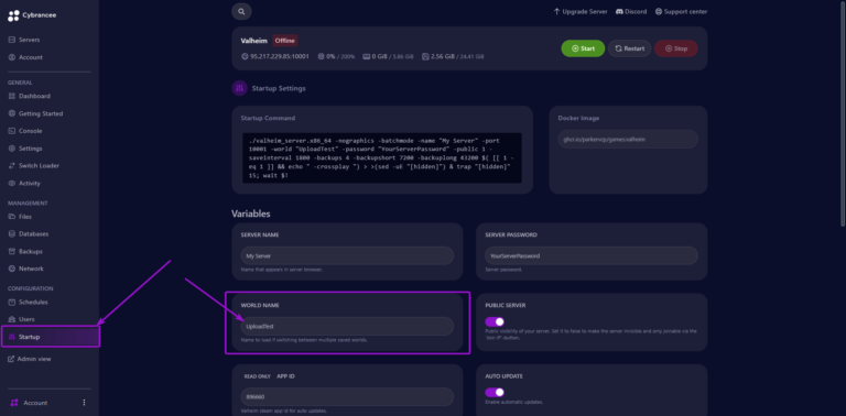 Cybrancee panel startup page, with world name outlined