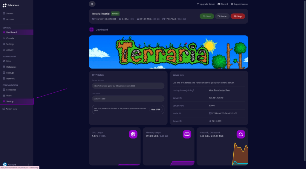 Cybrancee panel dashboard Terraria startup tab outlined