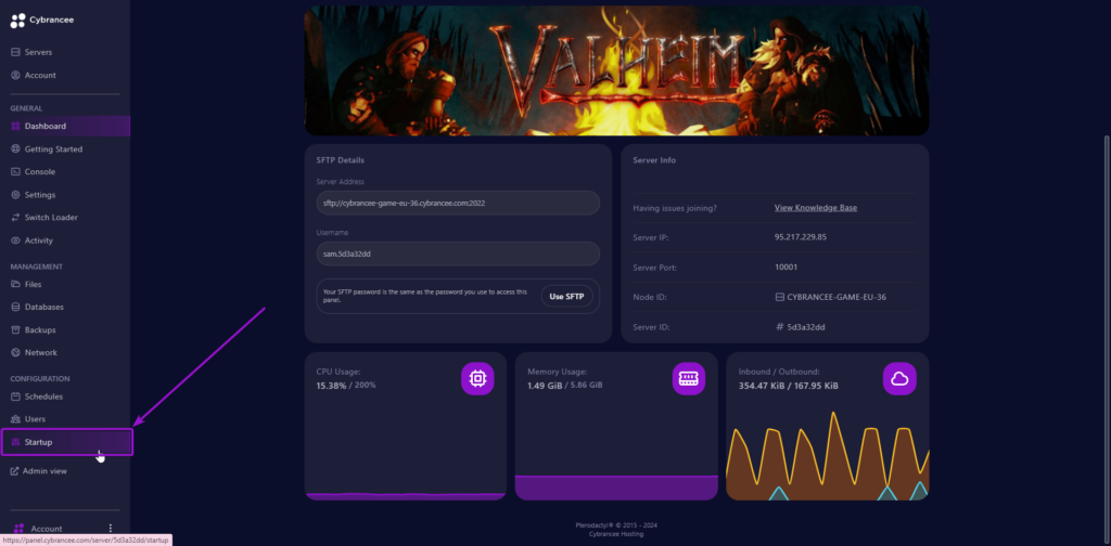 Cybrancee panel Valheim dashboard, with startup tab outlined