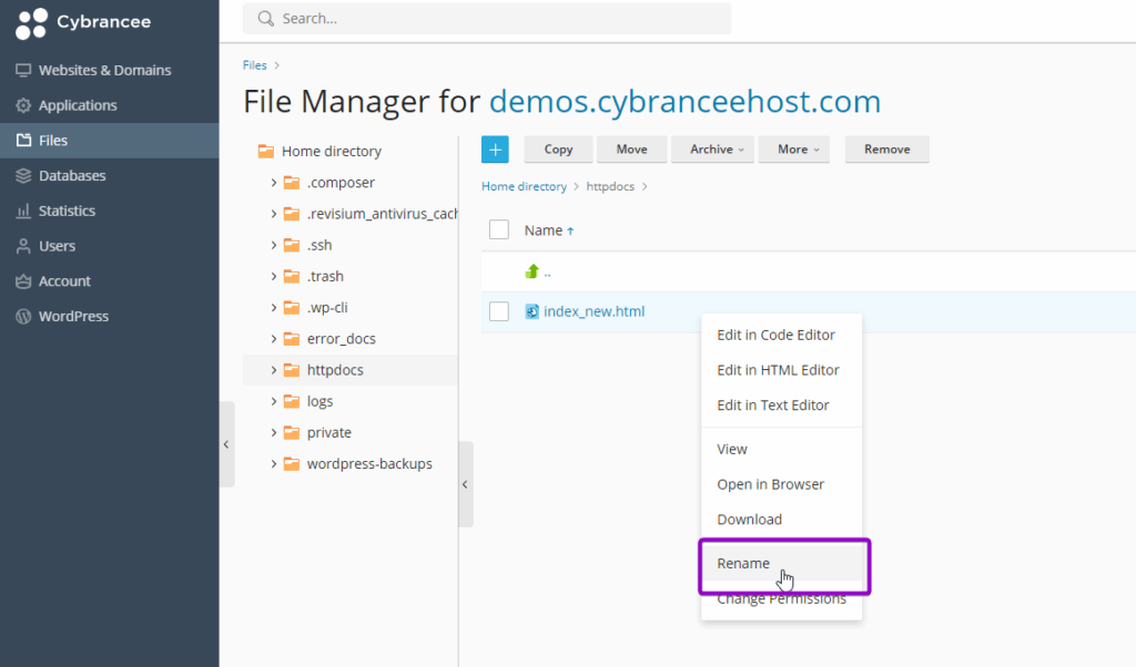 Cybrancee Plesk file dropdown, with rename outlined