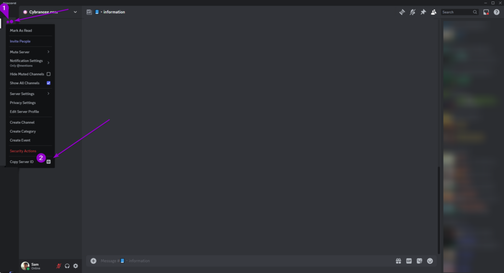 Discord dropdown copy server ID