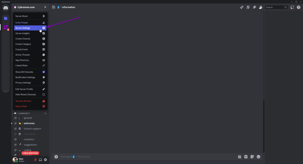 Discord dropdown server settings