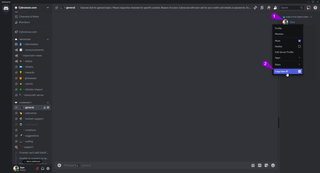 Discord dropdown copy user id