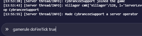 Minecraft disable fire spread Cybrancee console true command