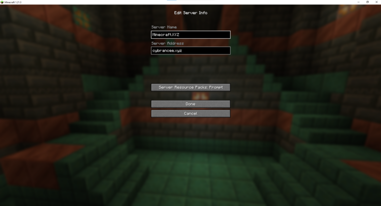 Minecraft edit server info