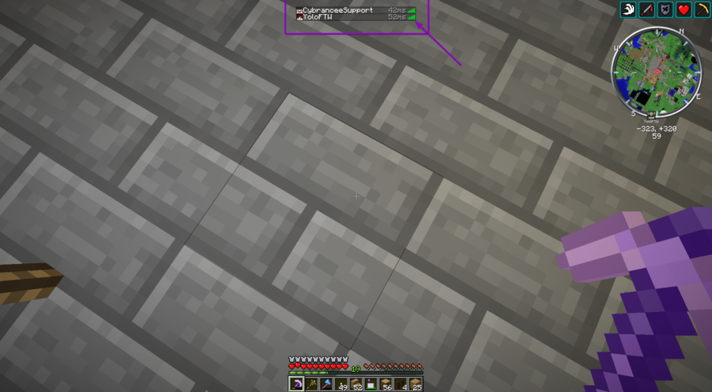 Minecraft game, ping section outlined