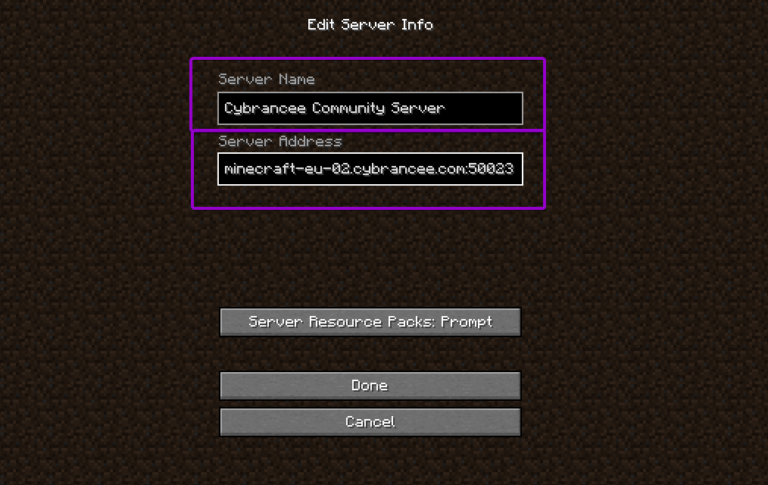 Minecraft server information with server name and address outlined