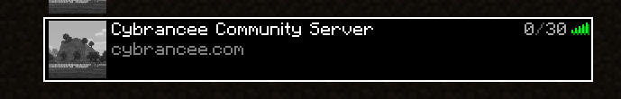 Minecraft server listed
