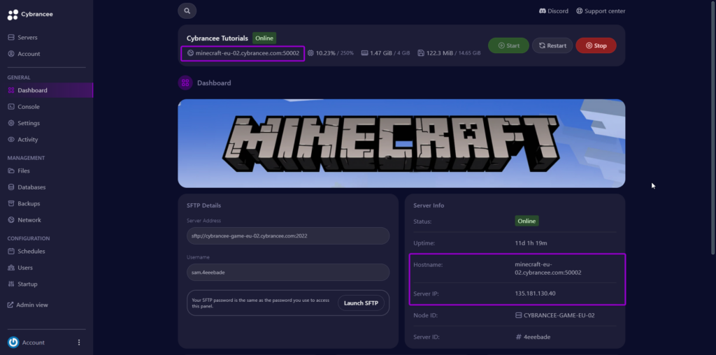 Panel dashboard Minecraft with hostname, port and server ip outlined