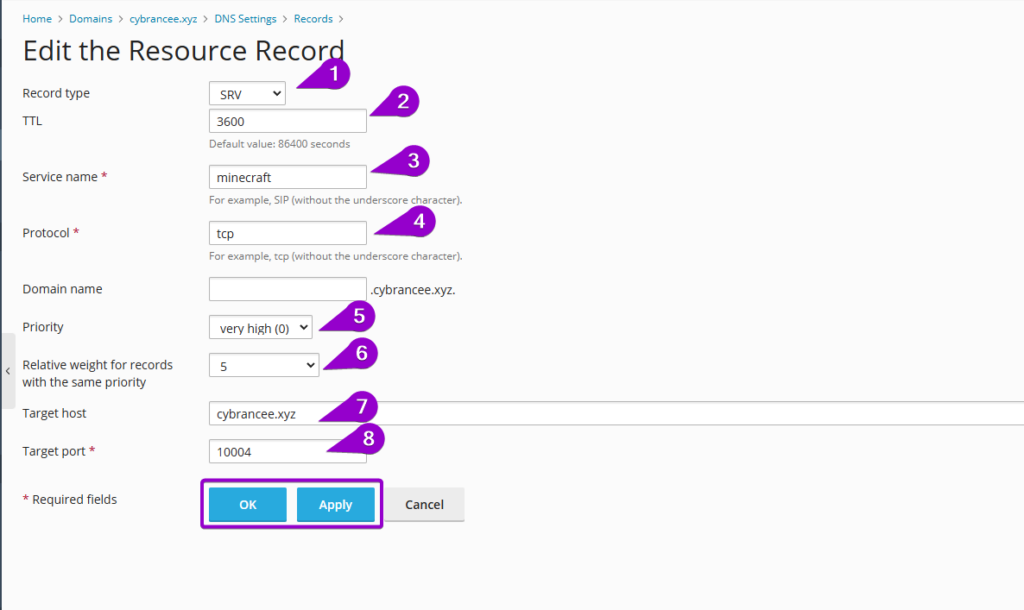 Plesk DNS SRV record