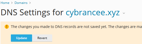 Plesk DNS settings, update records option