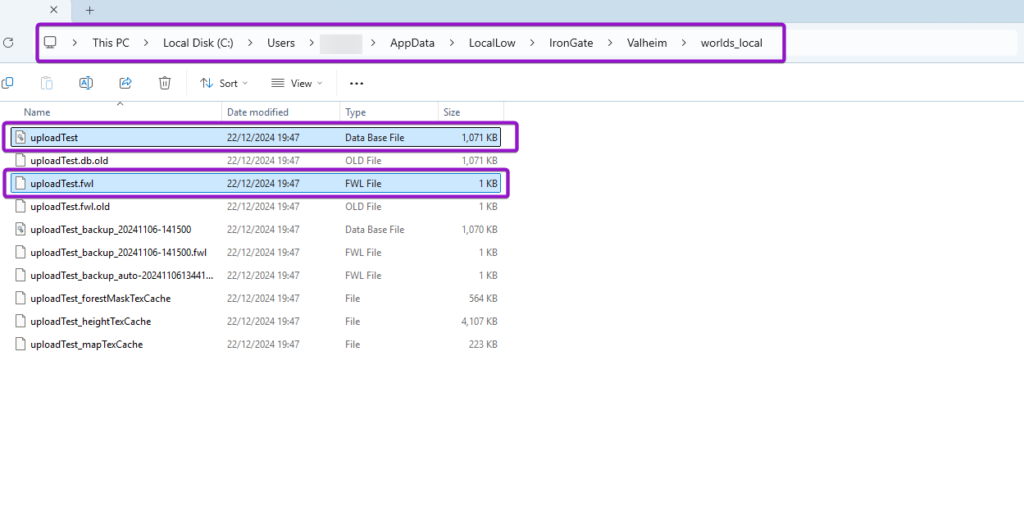Valheim world files, file explorer