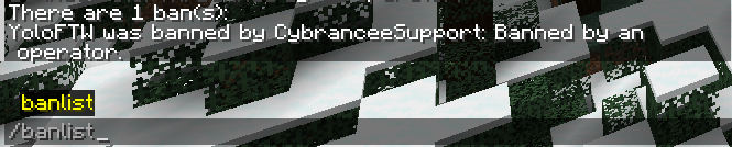 View banlist Minecraft in game