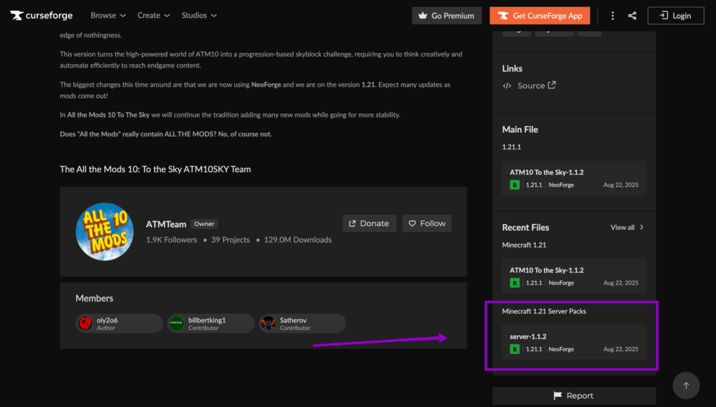 Curseforge All the Mods 10 Server Download outlined