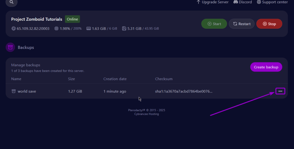 Cybrancee-Panel-Backup-Options-Menu-outlined with arrow