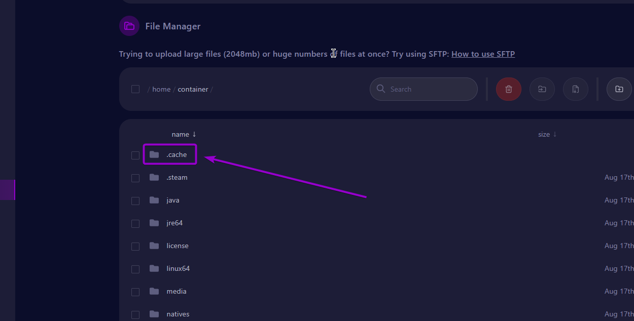Cybrancee Panel Files Tab .cache file Project Zomboid Server