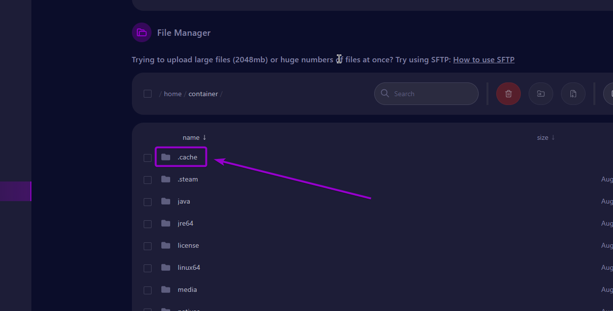 Cybrancee Panel Files Tab .cache File Project Zomboid Server