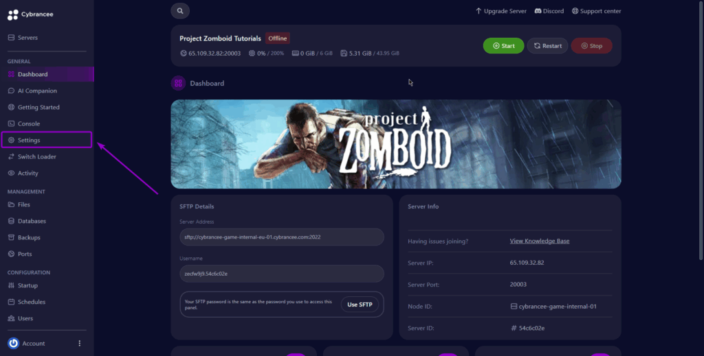 Cybrancee Panel Settings Tab Project Zomboid Server