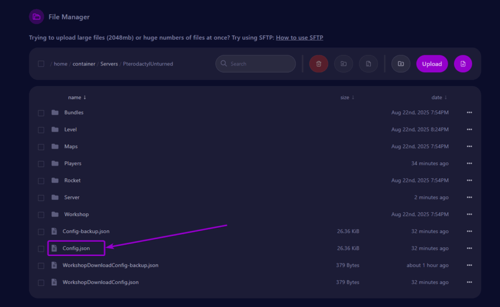 Cybrancee Panel Unturned Files Tab With Config.json File Outlined