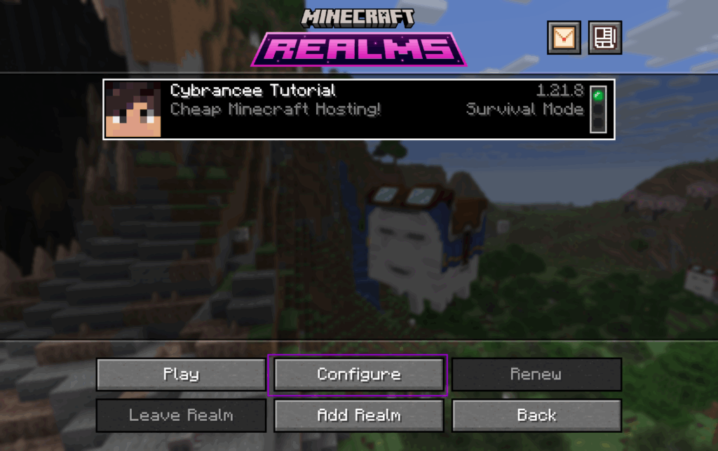 Minecraft Realms with configure button boxed