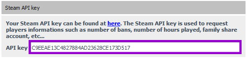 RustAdmin config tab with the Steam API Key field outlined