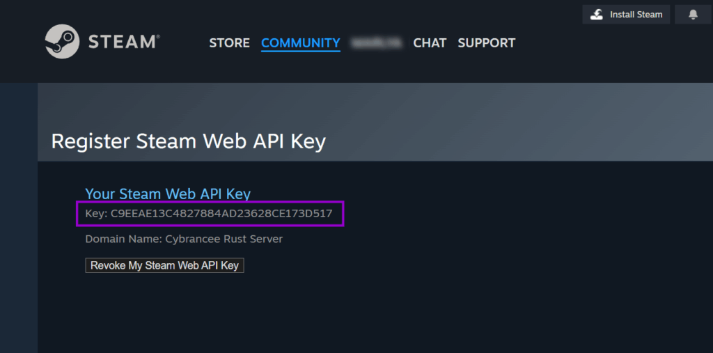 Steam panel with the API Key field outlined