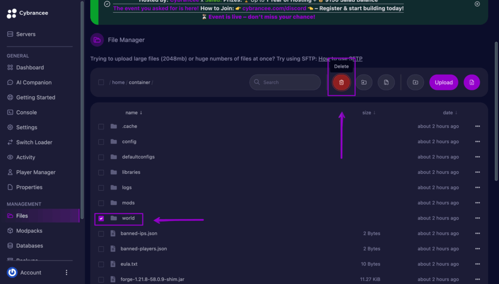World file checked with a box around it and the delete button.