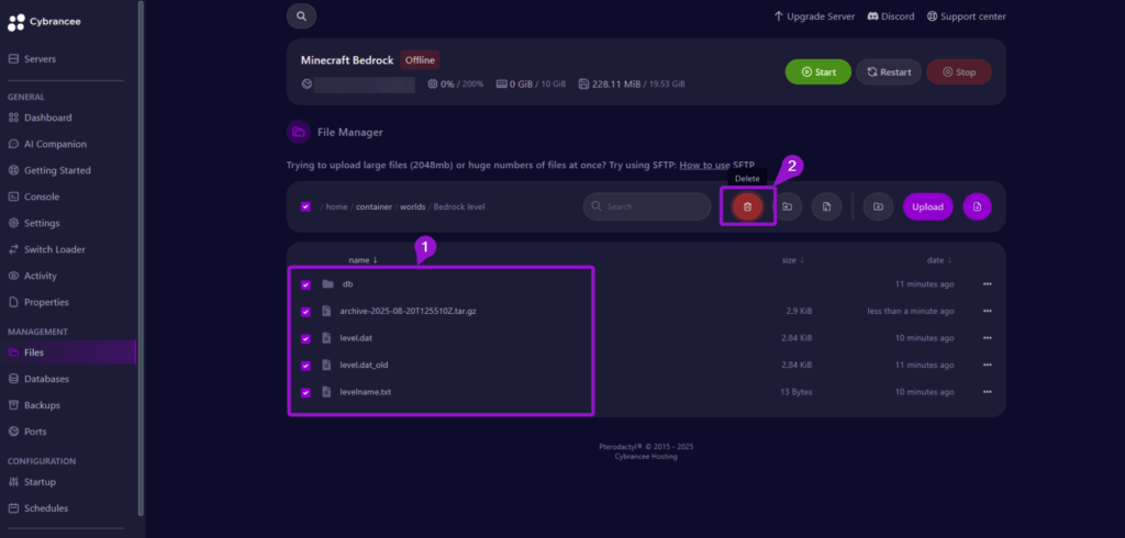 Cybrancee panel highlighted all files ready to delete