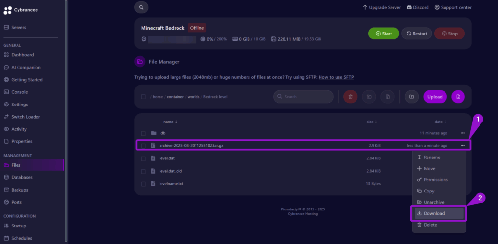 The Cybrancee panel with instructions for downloading an archived file