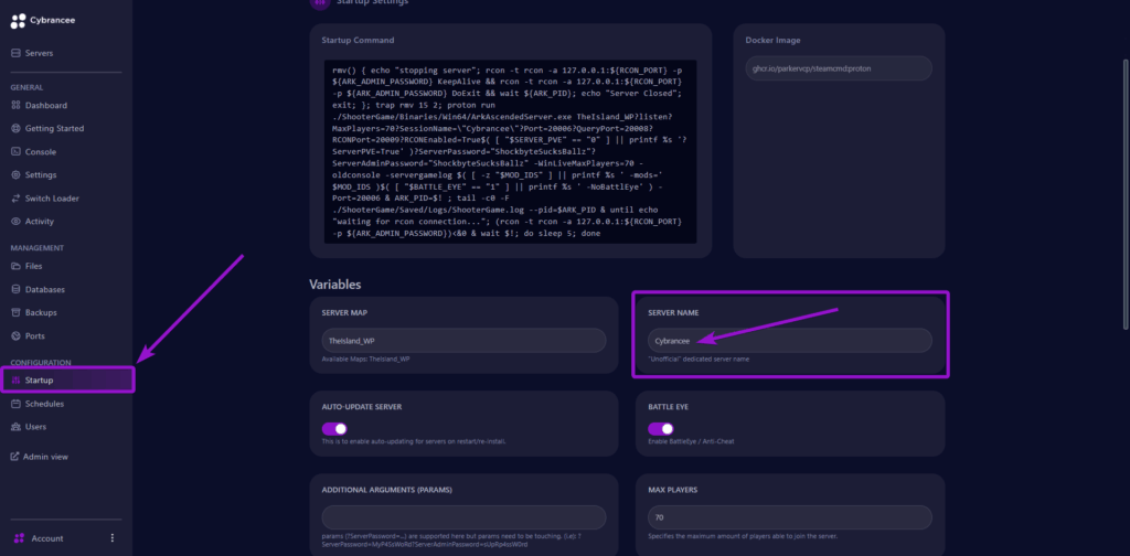 Cybrancee panel Ark: Survival Ascended startup page, with startup tab and system name field outlined