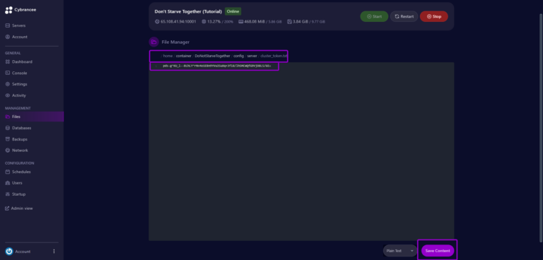 Cybrancee panel Don't Starve Together cluster_token.txt file