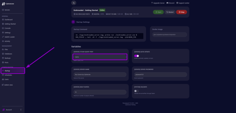 Cybrancee panel Enshrouded startup page, with variables outlined