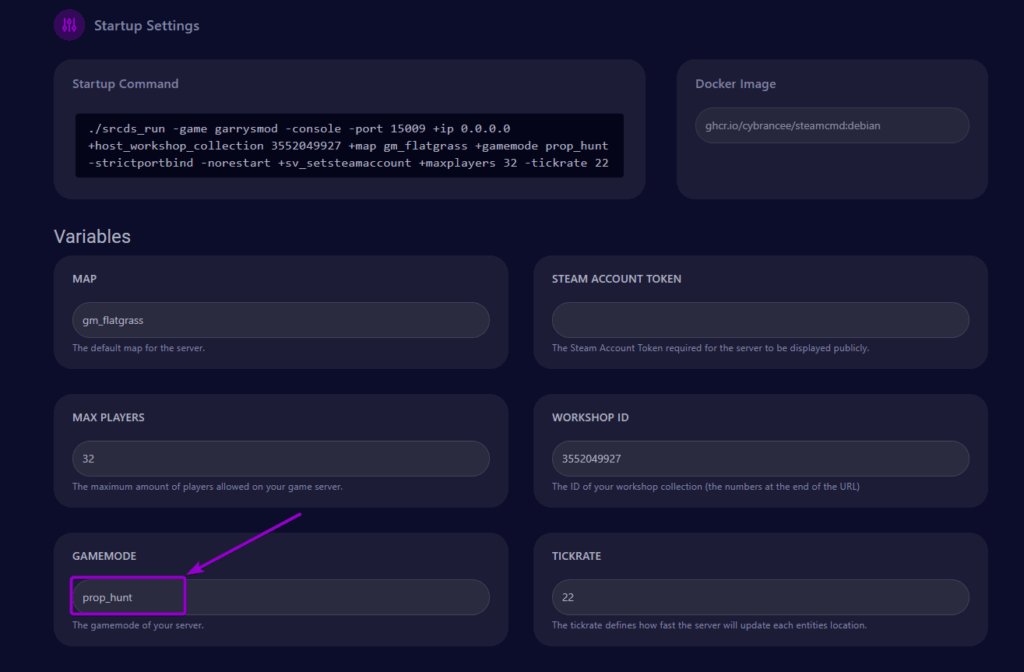 cybrancee Panel Garrys Mod Startup Tab with Gamemode Field Outlined