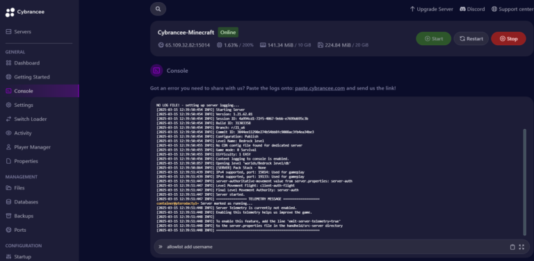 Cybrancee panel Minecraft console page, with allowlist typed into the console