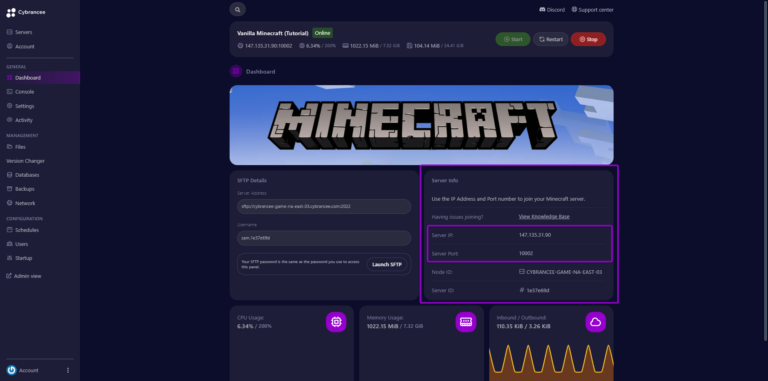 Cybrancee panel Minecraft dashboard, with server information outlined