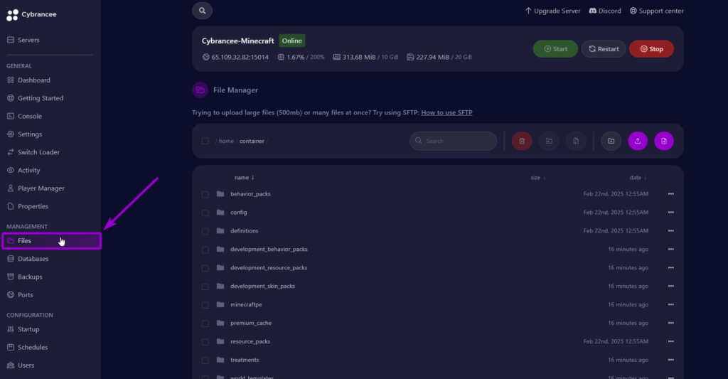 Cybrancee panel Minecraft files page, with files tab outlined