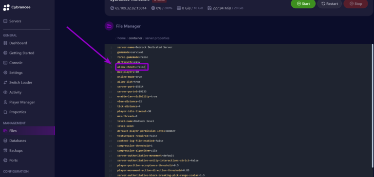 Cybrancee panel Minecraft server.properties file, with allow-cheats outlined