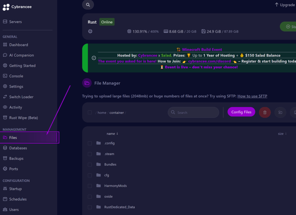 Cybrancee panel showing the Rust startup page with the Files tab outlined