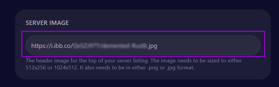 cybrancee Panel Rust Startup Page Server Image Field Outlined