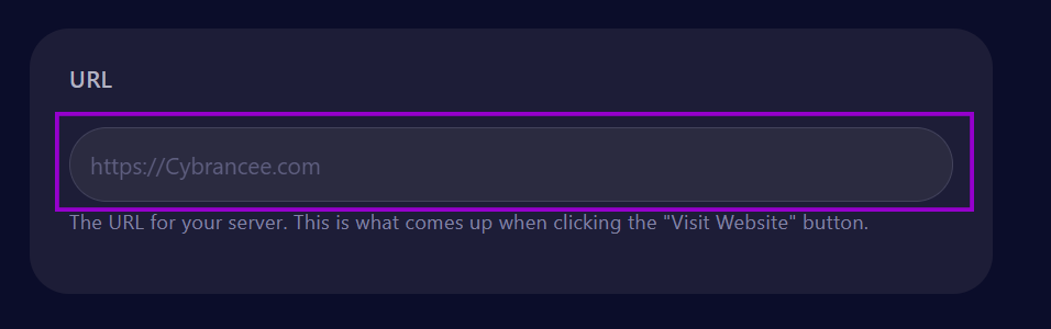 cybrancee Panel Rust Startup Page URL Field Outlined