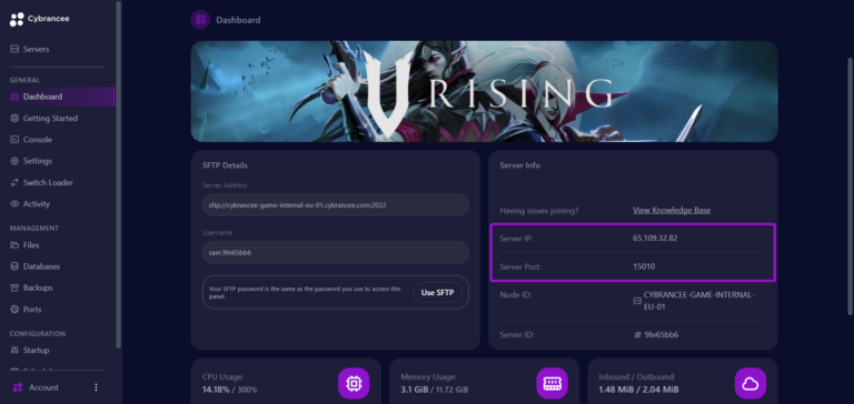 Cybrancee panel V Rising dashboard, with server info outlined