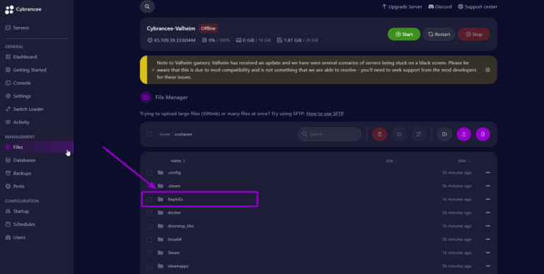 Cybrancee panel Valheim files screen, with BepinEx folder outlined