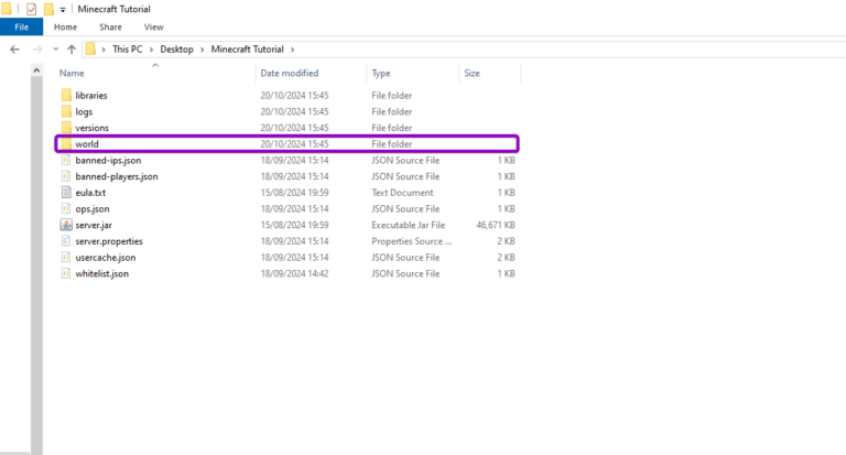 File explorer Minecraft world folder