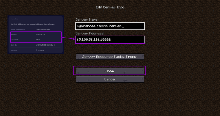 Minecraft Fabric edit server info