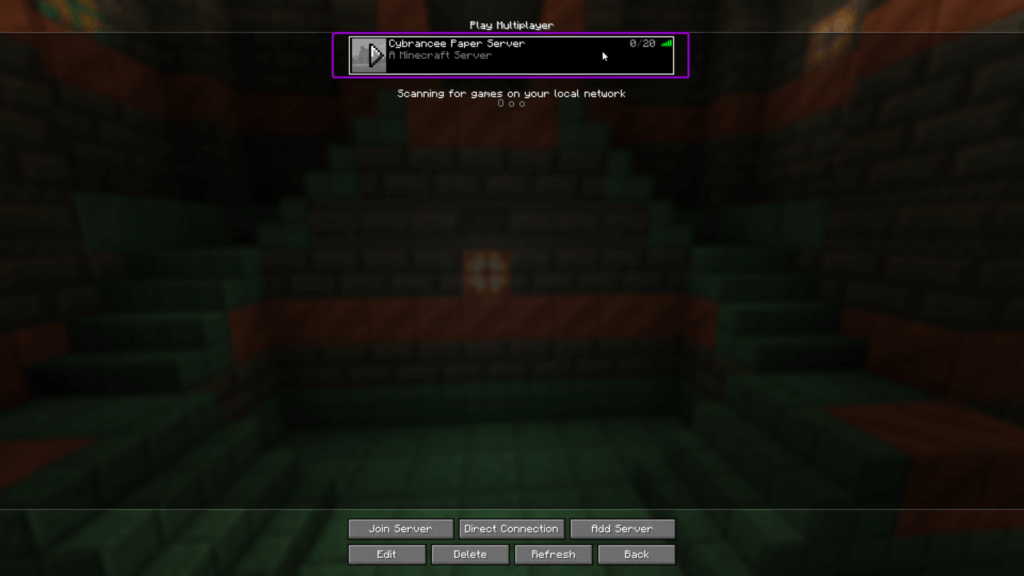 Minecraft play multiplayer screen, with paper server outlined