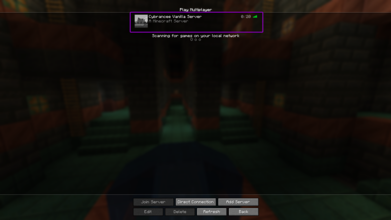 Cybrancee play multiplayer screen, with available server outlined